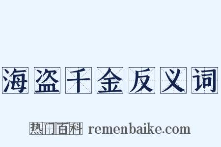 海盗千金反义词是什么意思的图片